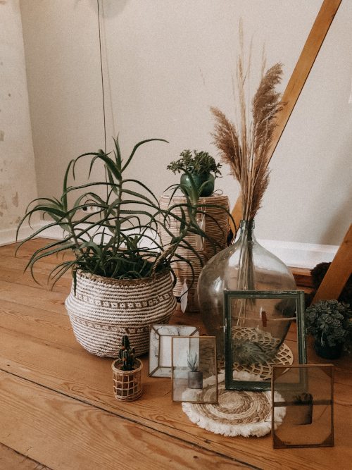 Schöne Pflanzen und Glasornamente