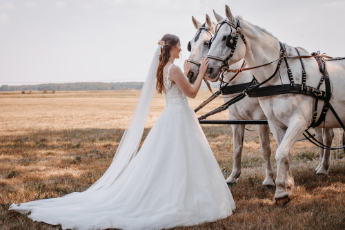 Eine hübsche Braut neben einer Kutsche mit Pferden